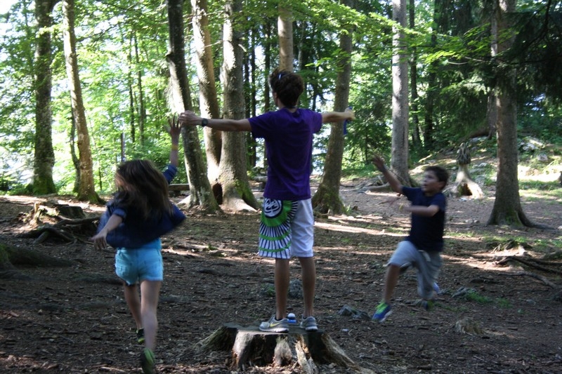 Village Camps International Summer Camp Leysin, Switzerland 2026-08-15 https://www.villagecamps.com/journals_admin/images/709-43-nature (41).jpg